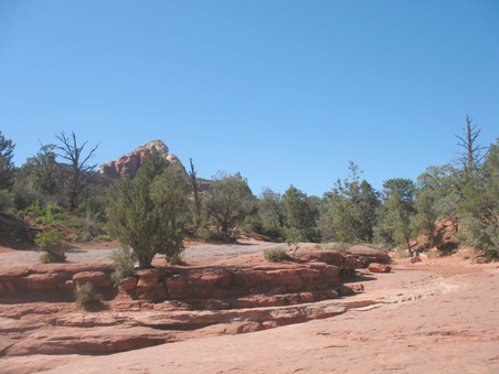 Enlarge photo 76