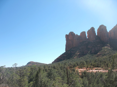 Enlarge photo 77