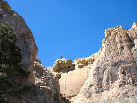 Enlarge photo 3
