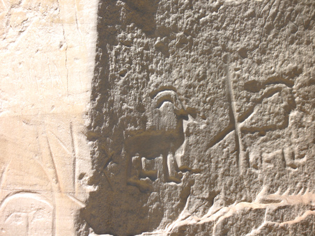 Enlarge photo 27