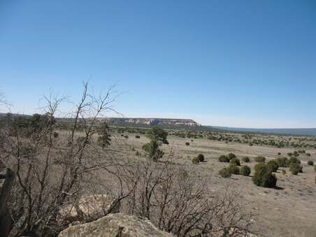 Enlarge photo 47