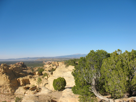 Enlarge photo 52