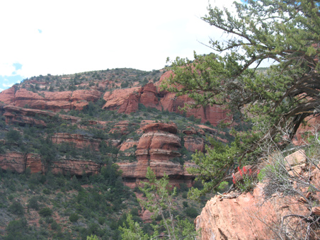 Enlarge photo 17