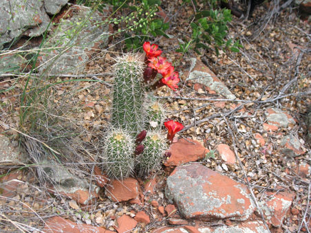 Enlarge photo 26