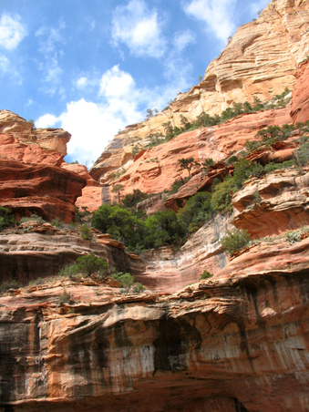 Enlarge photo 32