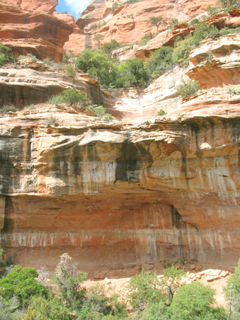 Enlarge photo 34