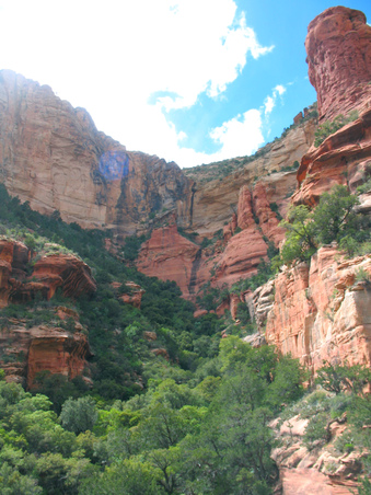Enlarge photo 37