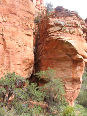 Enlarge photo 39