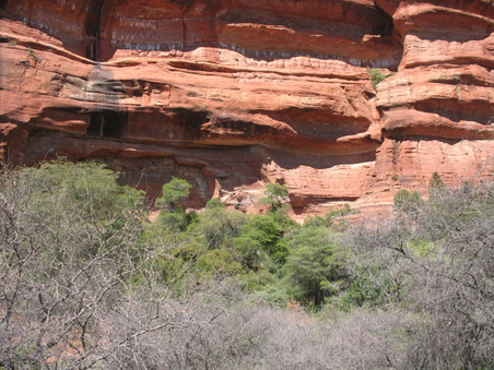 Enlarge photo 26