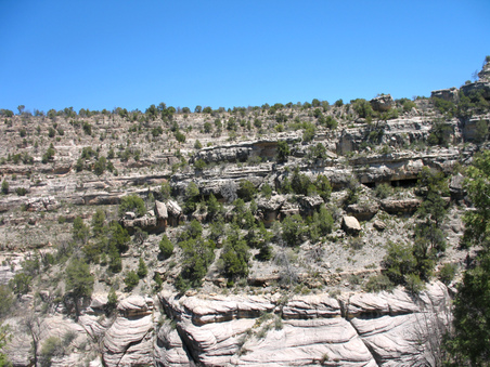 Enlarge photo 13