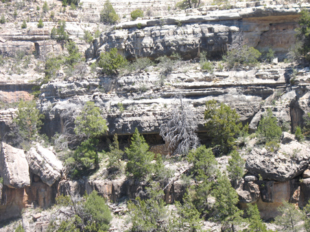 Enlarge photo 14