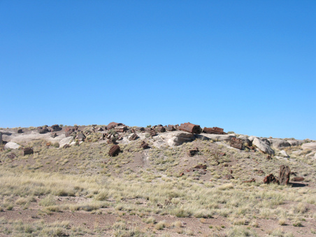 Enlarge photo 19