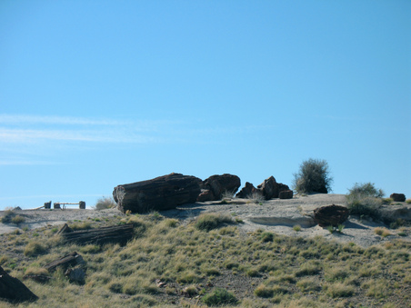 Enlarge photo 20