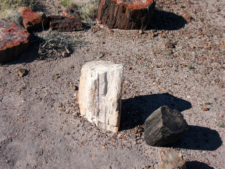 Enlarge photo 21