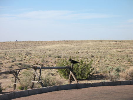 Enlarge photo 27