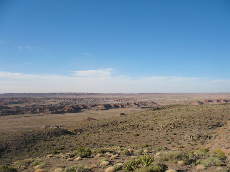 Enlarge photo 31