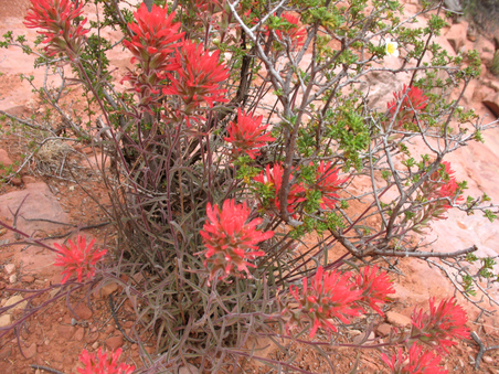 Enlarge photo 6