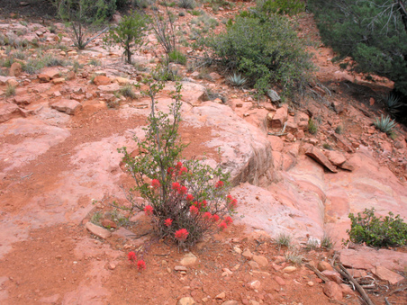 Enlarge photo 7