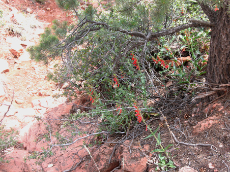 Enlarge photo 9