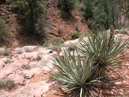Enlarge photo 11