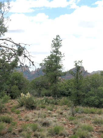 Enlarge photo 14