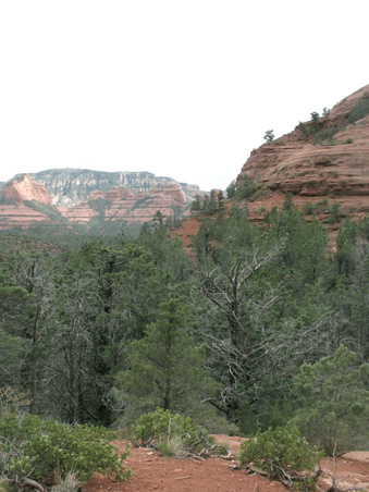 Enlarge photo 23