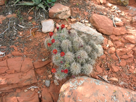 Enlarge photo 30