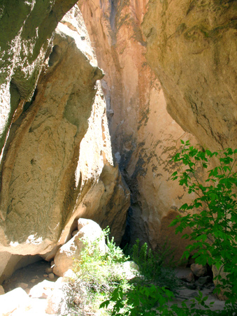 Enlarge photo 12