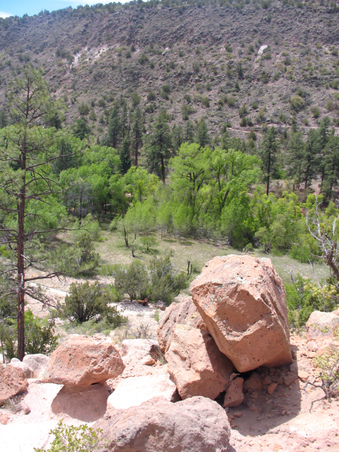Enlarge photo 32