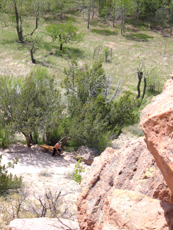 Enlarge photo 33