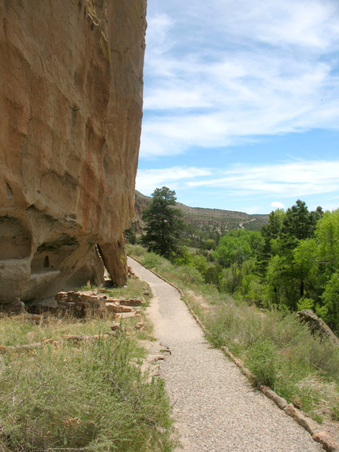 Enlarge photo 41