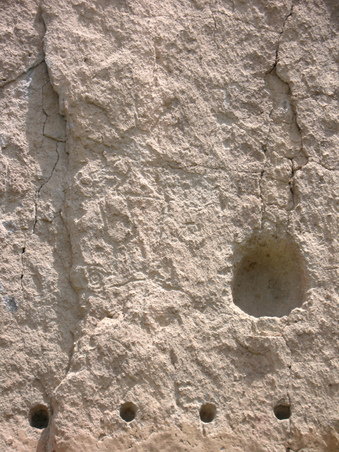 Enlarge photo 51