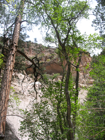 Enlarge photo 71