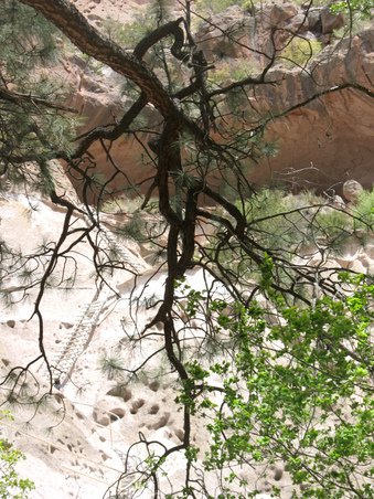 Enlarge photo 72