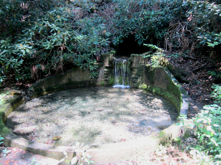 Enlarge photo 12