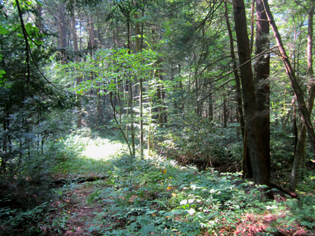 Enlarge photo 23