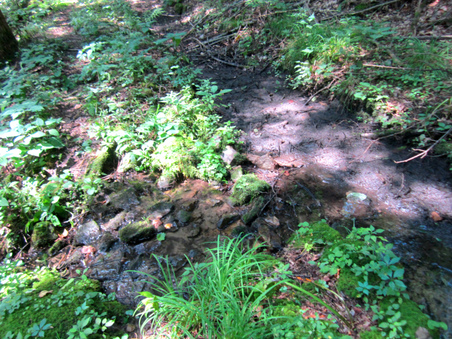 Enlarge photo 22