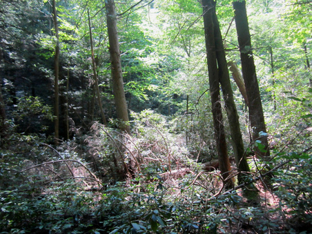 Enlarge photo 21
