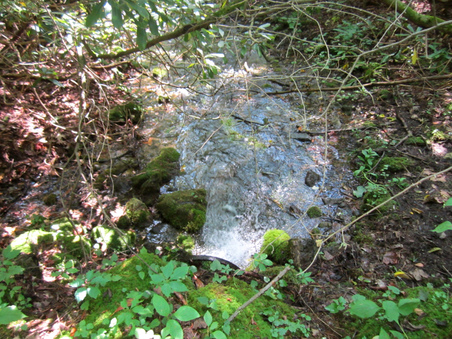 Enlarge photo 20