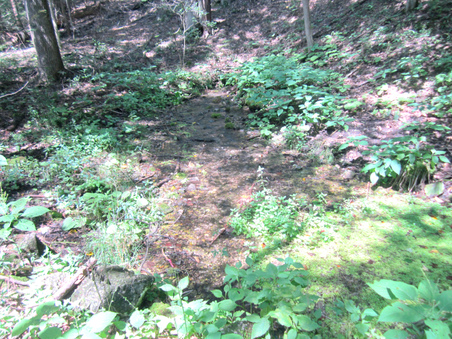 Enlarge photo 19