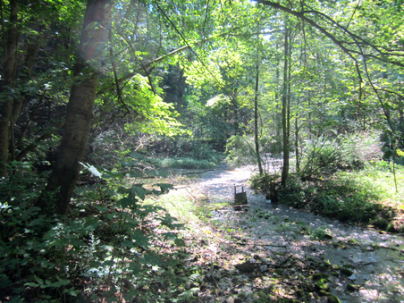Enlarge photo 14