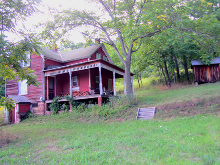 Enlarge photo 5
