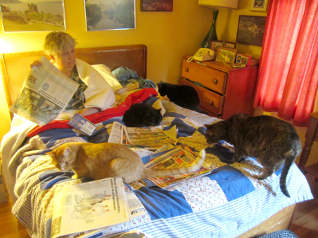 Enlarge photo 14