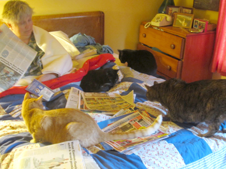 Enlarge photo 15