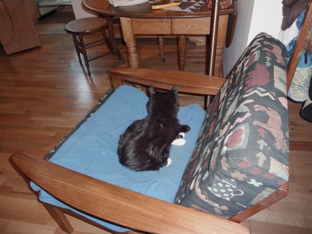Enlarge photo 4