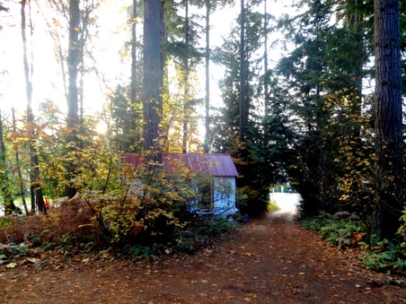 Enlarge photo 24