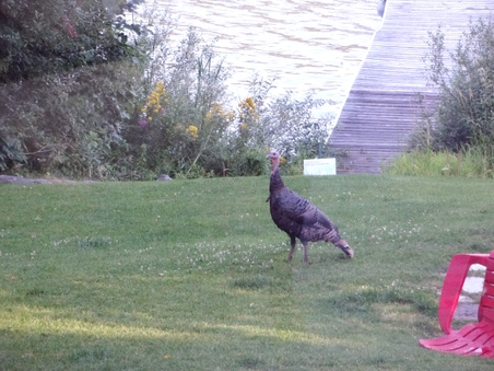 Enlarge photo 4