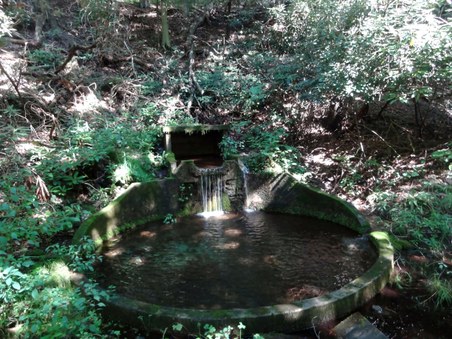 Enlarge photo 5