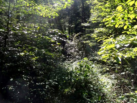 Enlarge photo 10