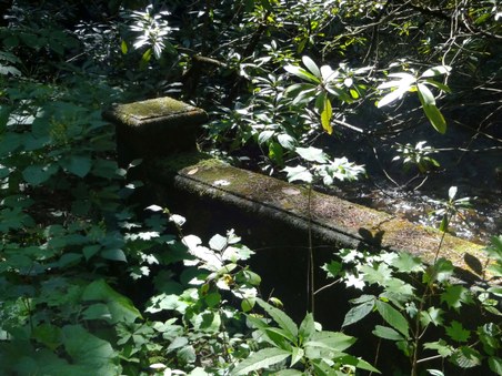 Enlarge photo 11